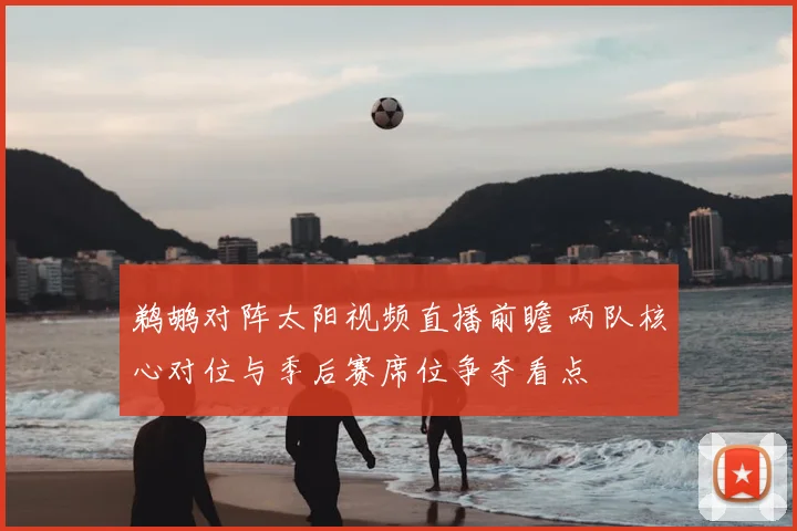 鹈鹕对阵太阳视频直播前瞻 两队核心对位与季后赛席位争夺看点