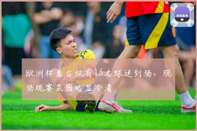 欧洲杯看台仅有15名球迷到场,现场观赛氛围略显冷清