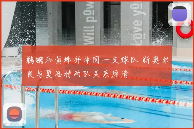 鹈鹕和黄蜂并非同一支球队 新奥尔良与夏洛特两队关系厘清