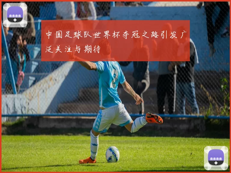 中国足球队世界杯夺冠之路引发广泛关注与期待