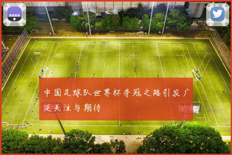中国足球队世界杯夺冠之路引发广泛关注与期待