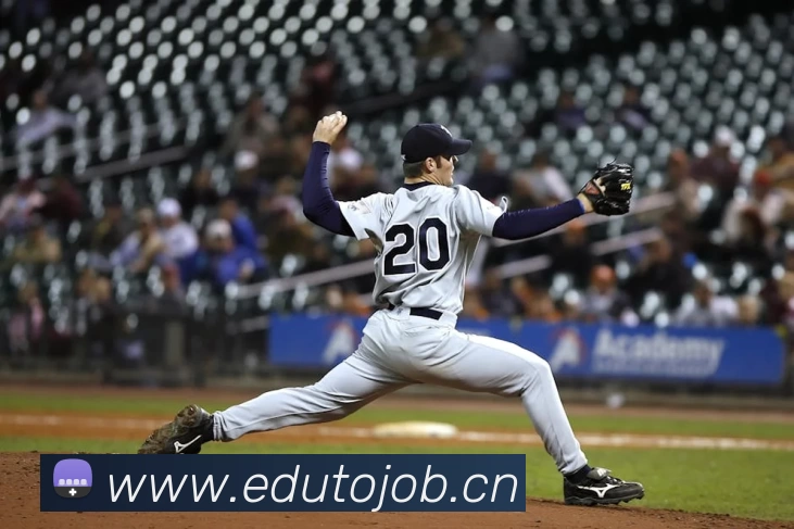 App Interface Preview